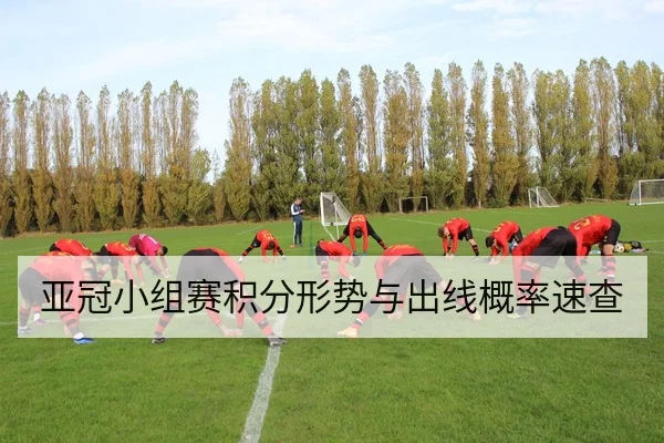 亚冠小组赛积分形势与出线概率速查